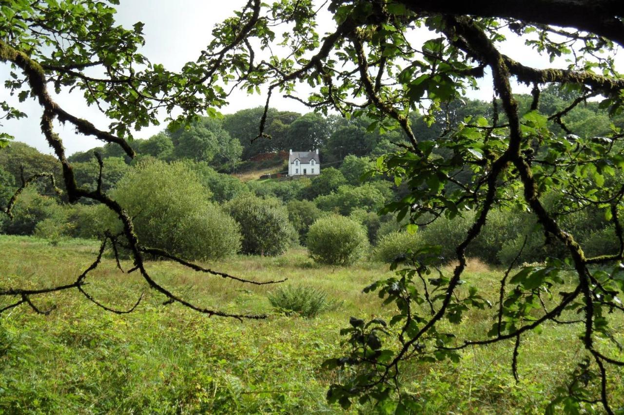 Farthings Hook Mill * Henrys Moat